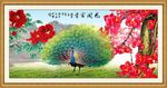 国画孔雀 