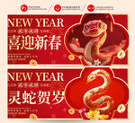 蛇年