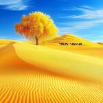阿拉善创意背景
