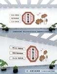 中医养生文化墙
