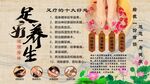 足疗养生背景墙