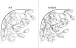 玉兰花 矢量图
