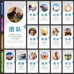 公司文化