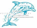 海豚插画