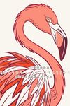 火烈鸟