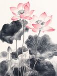 工笔画荷花书画