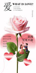 情人节