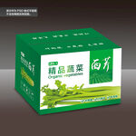 精品蔬菜芹菜包装