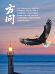 飞向灯塔的鹰