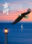 飞向灯塔的鹰