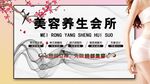美容养生会所背景墙