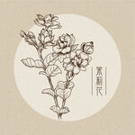 茉莉花