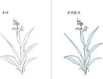 兰花 矢量图
