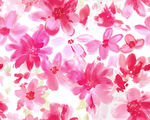 水彩画