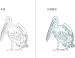 鹈鹕 矢量图
