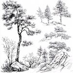 钢笔树木画