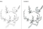 桃花与鸟 矢量图