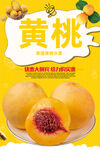 黄桃
