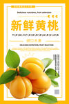 黄桃