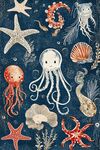 手绘海洋生物