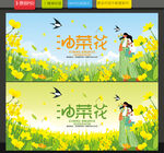 油菜花