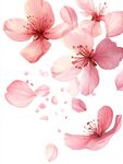 花瓣手绘桃花