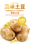 土豆
