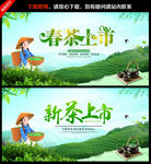 春茶