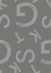 大字母