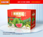 西瓜包装 麒麟瓜礼盒