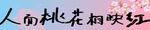 春天赏花露营条幅 