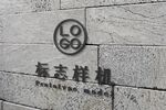 大理石LOGO样机