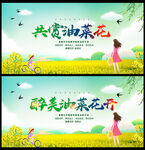 油菜花
