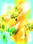 扎染花朵