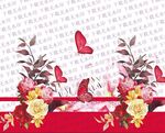 蝴蝶 定位花