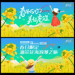 油菜花