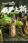 春笋上新