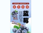 蓝莓背景墙