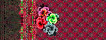 定位花 