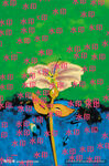 花  定位 