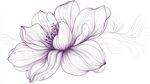 手绘紫色花朵线条插画