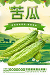苦瓜