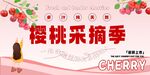 樱桃