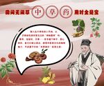 中草药实践园