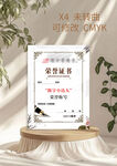 练字奖状  荣誉证书