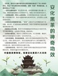 安化黑茶的神奇功效海报