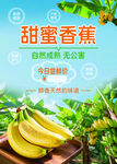 香蕉海报