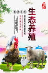 生态养殖