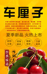 车厘子背景墙