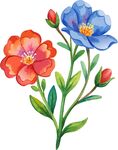 花卉插画